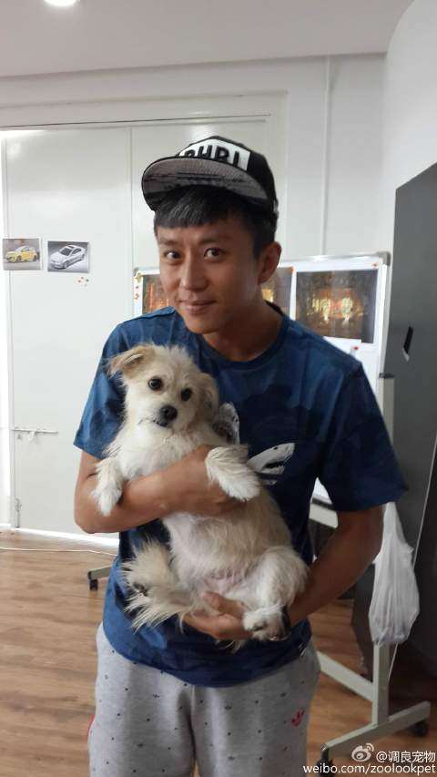 跑男团成员的宠物有哪些,跑男团更宠谁