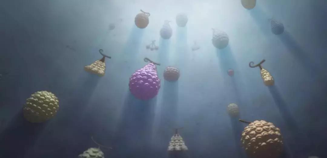 海贼王恶魔果实亚比达,海贼王恶魔果实为什么这么贵