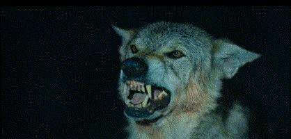 十部顶级神作9.5评分美剧末日,末日美剧推荐