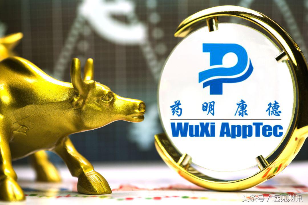 药明康德大概会多少涨停,药明康德上市涨停表