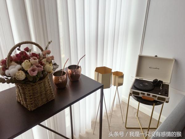 小户型装修设计案例效果图 (小户型怎么装修才能显得空间更大)