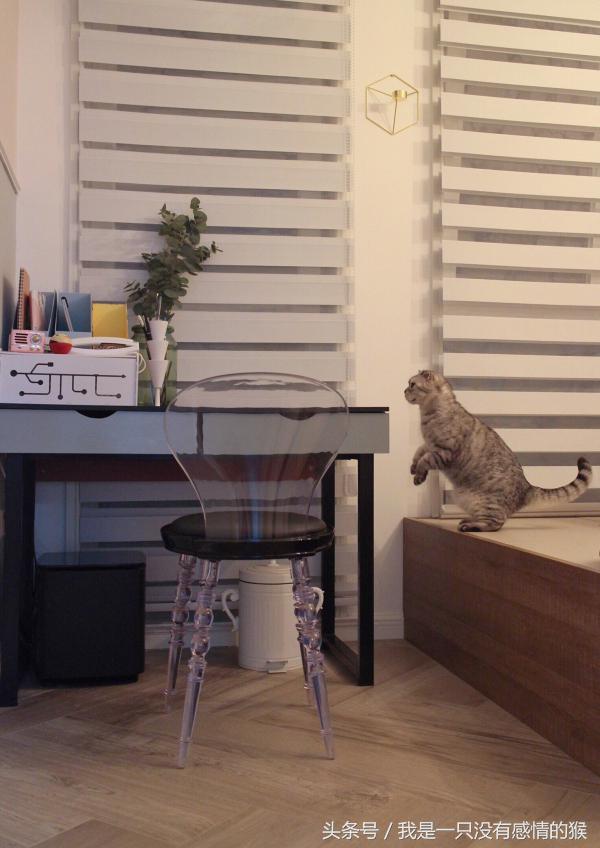 小户型50平米两室一厅装修案例 (小户型有哪些好的装修案例)