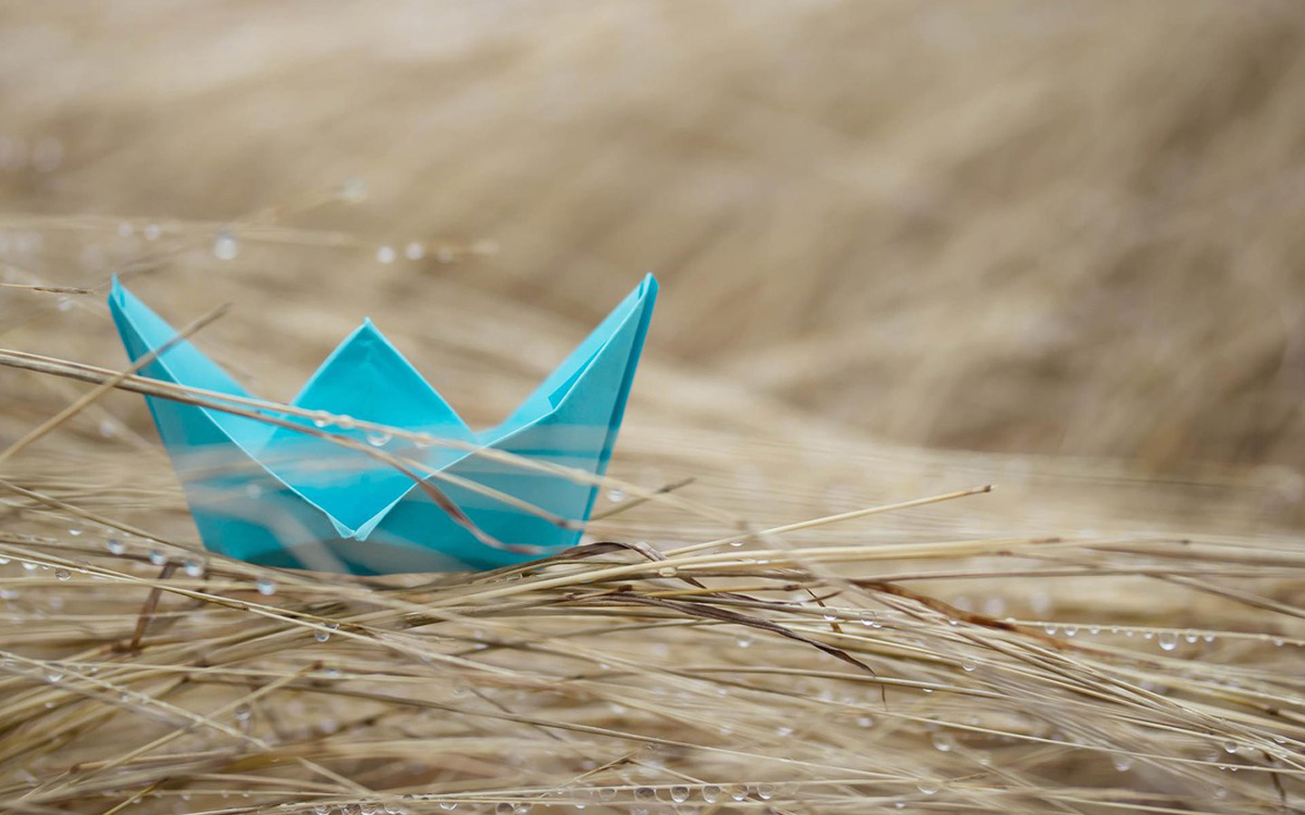 只要尽力生活就会好一点,活得很努力但是一无所有