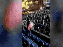 董卿跪,董卿下跪的节目