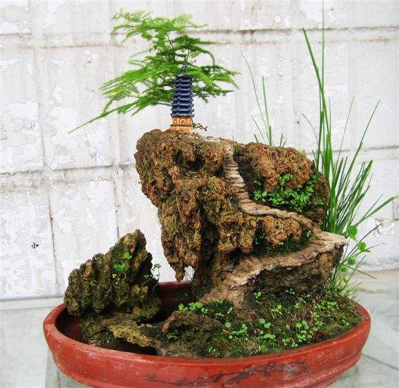 上水石盆景用什么种水草,上水石盆景栽什么树好