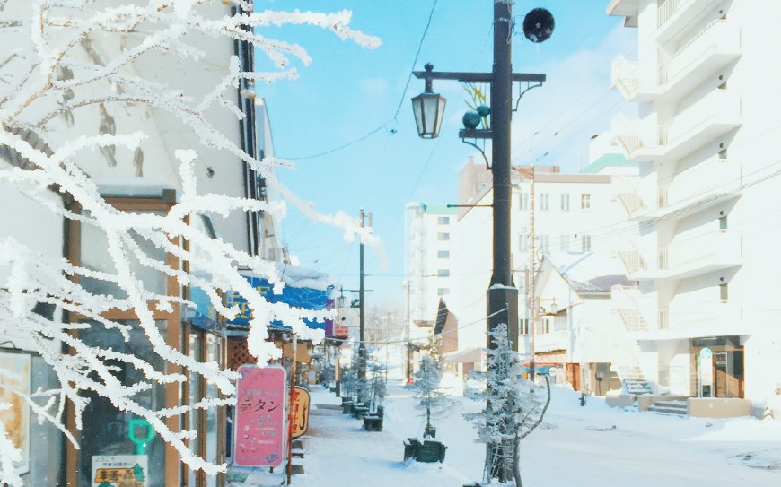 去日本旅游有哪些发现,去日本必须知道的10个细节