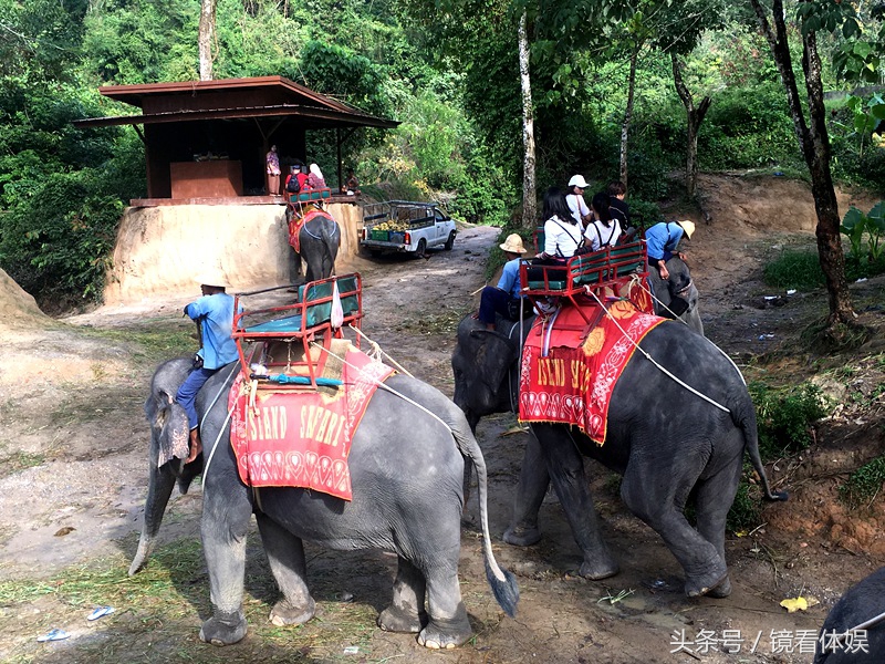 去泰国旅行团6天2000块靠谱吗,泰国旅游团购物骗局曝光
