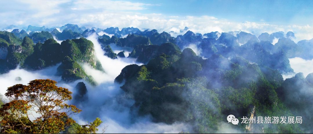 来上犹我养你高清图片,来武平我养你