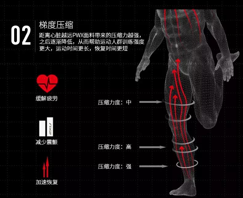紧身裤跟压缩裤有什么区别,运动压缩裤长款短款区别
