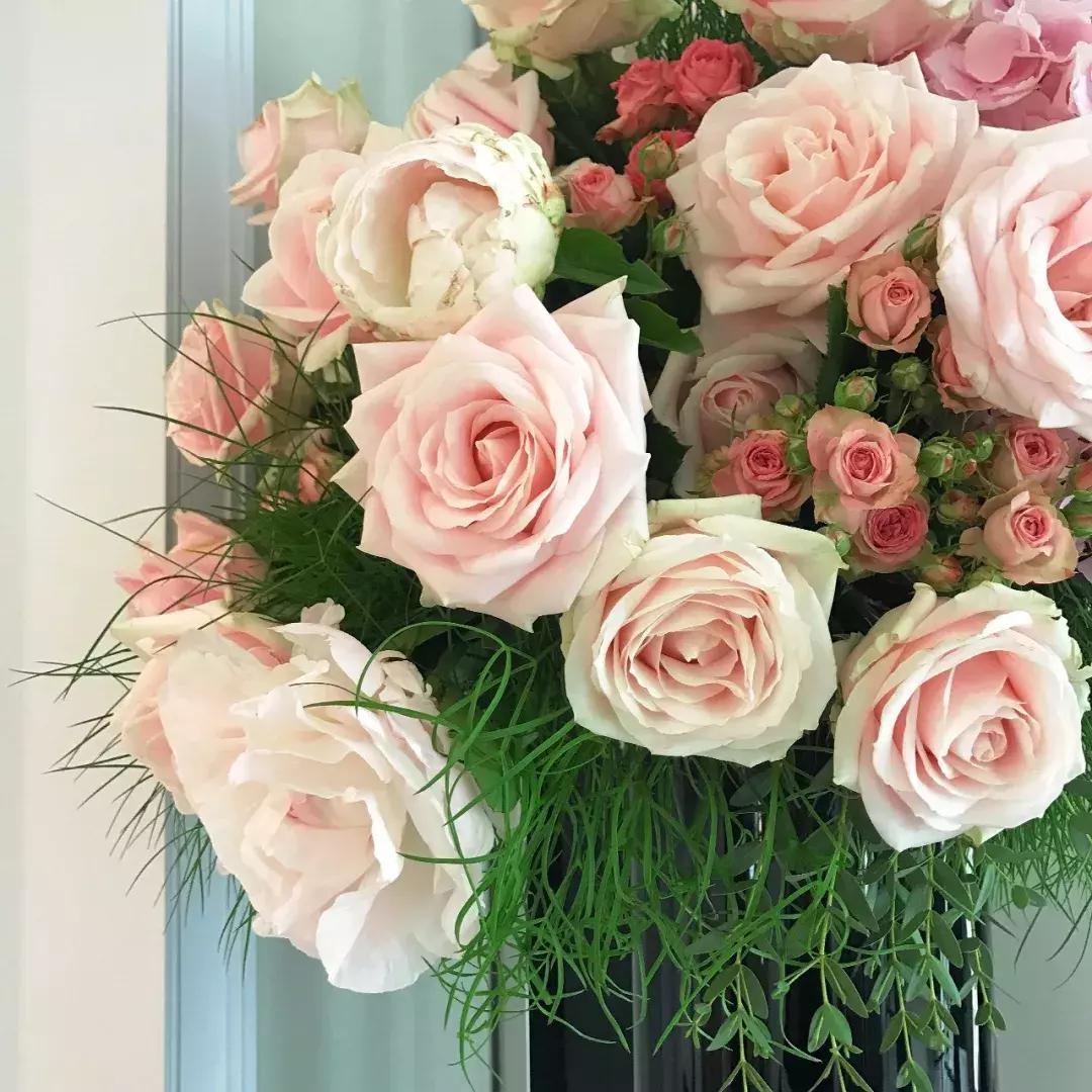 王丽坤和李晨的吻戏,戛纳红毯王丽坤