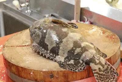 海鲜清洗大全图解,海鲜螃蟹怎么处理清洗最干净