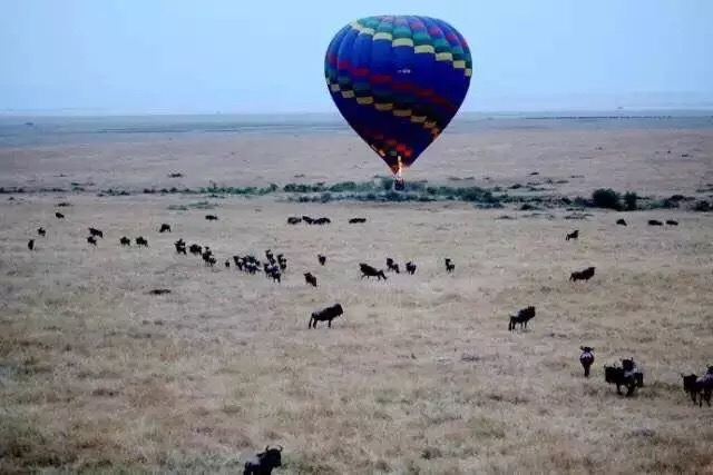 闯荡非洲,卖房创业,从100万起步到7年销售额过亿