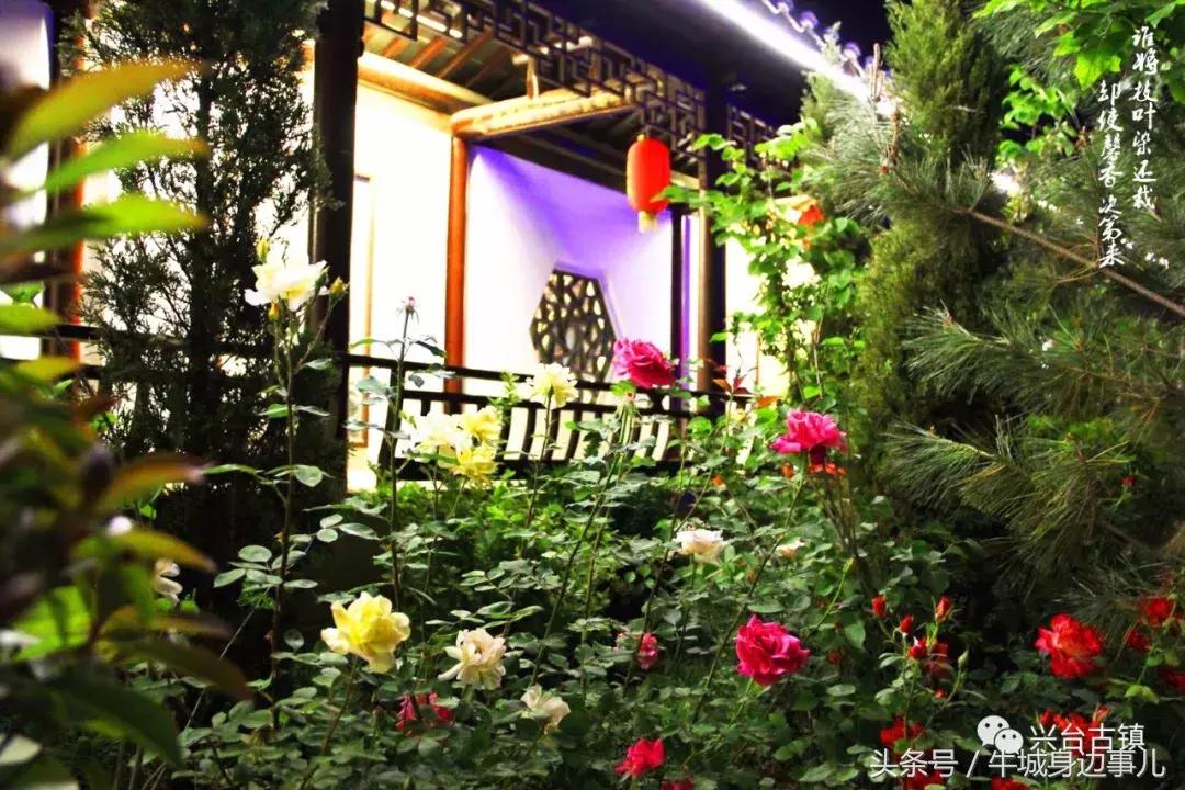 兴台古镇好玩吗,三台古镇夜景