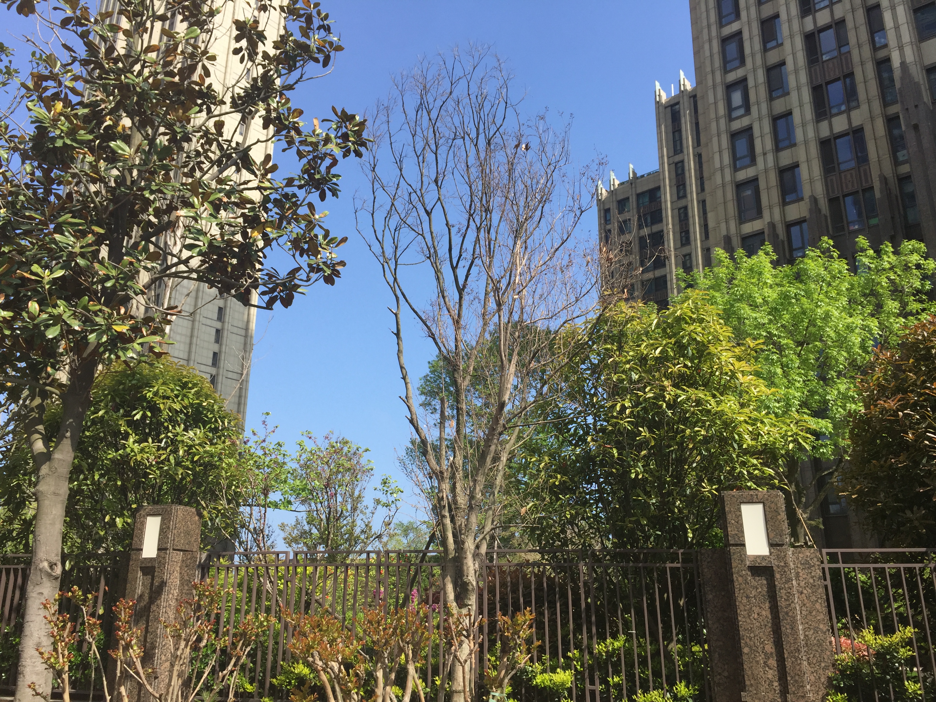 青岛崂山区海信天悦房价,黄岛灵山湾海信天玺最新房价