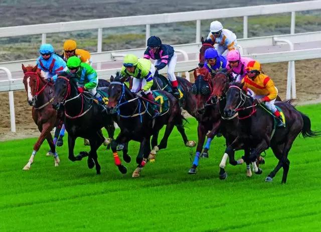 那么多关于温江的回忆,这让我怎么注销QQ