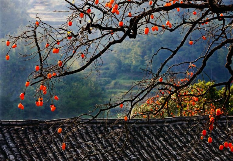 美文美图视频朗读,美文美图欣赏集锦