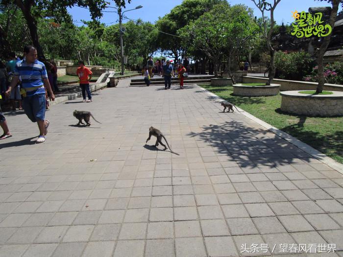 手绘旅行,东山岛旅游手绘游记