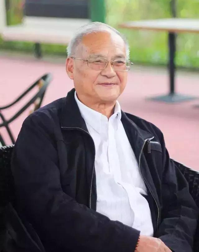 恩施玉露高级感,恩施玉露茶文化