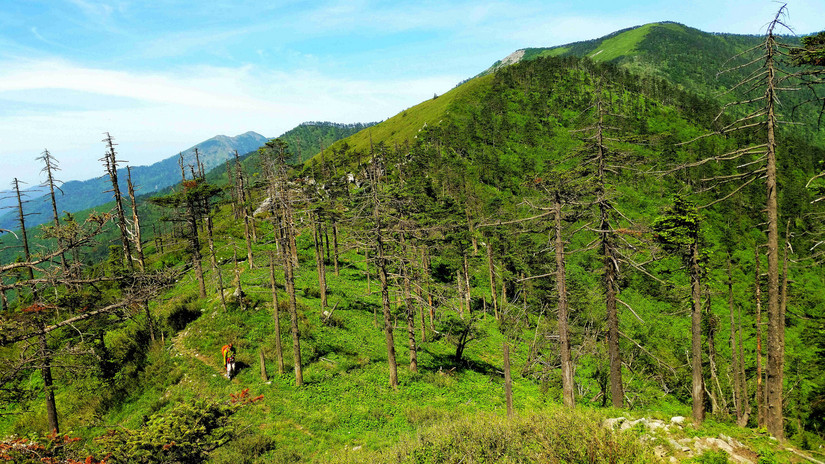 天华山-秦岭梁，又一条风景秀美的一日劲走线路