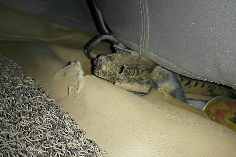 小伙开车撞死一条蛇,小伙开车遇到一条蛇