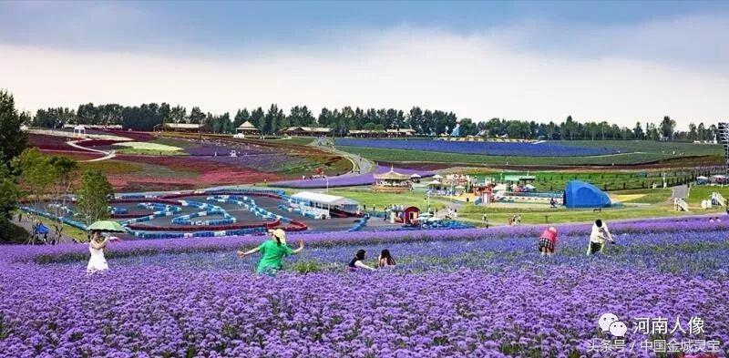 灵宝罗门,罗门灵宝