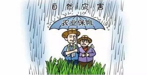 龙卷风属于自然灾害受灾了怎么办,龙卷风过后的灾情