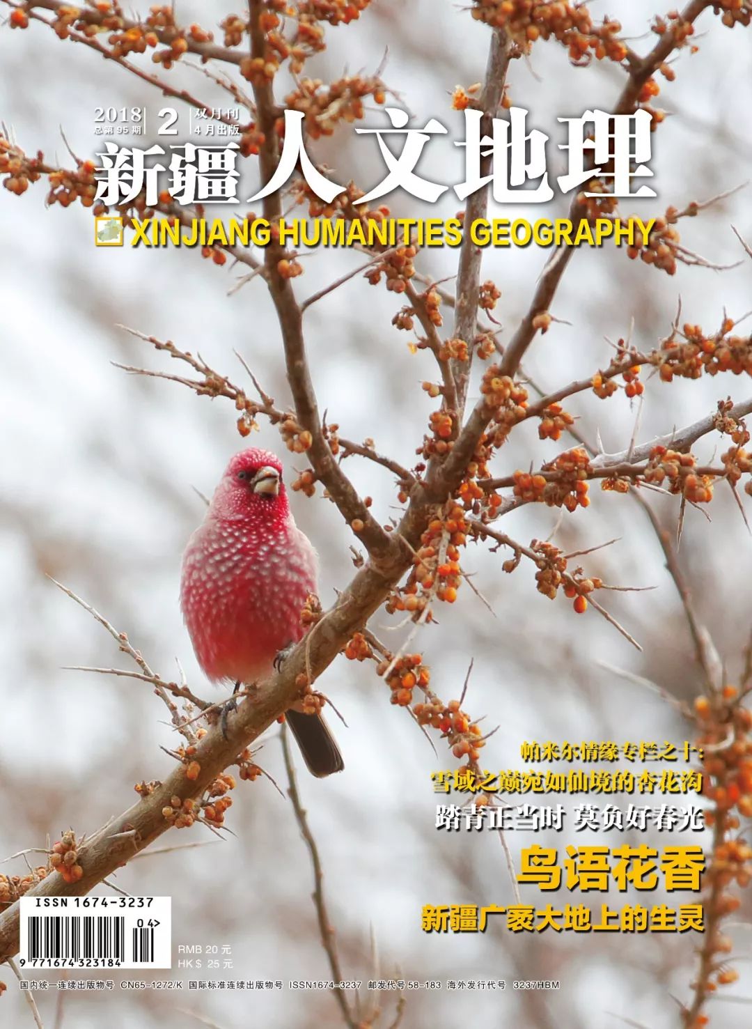 *疆新**人文地理丨一个馕的两极——于固守传统与疯狂创新之间穿梭