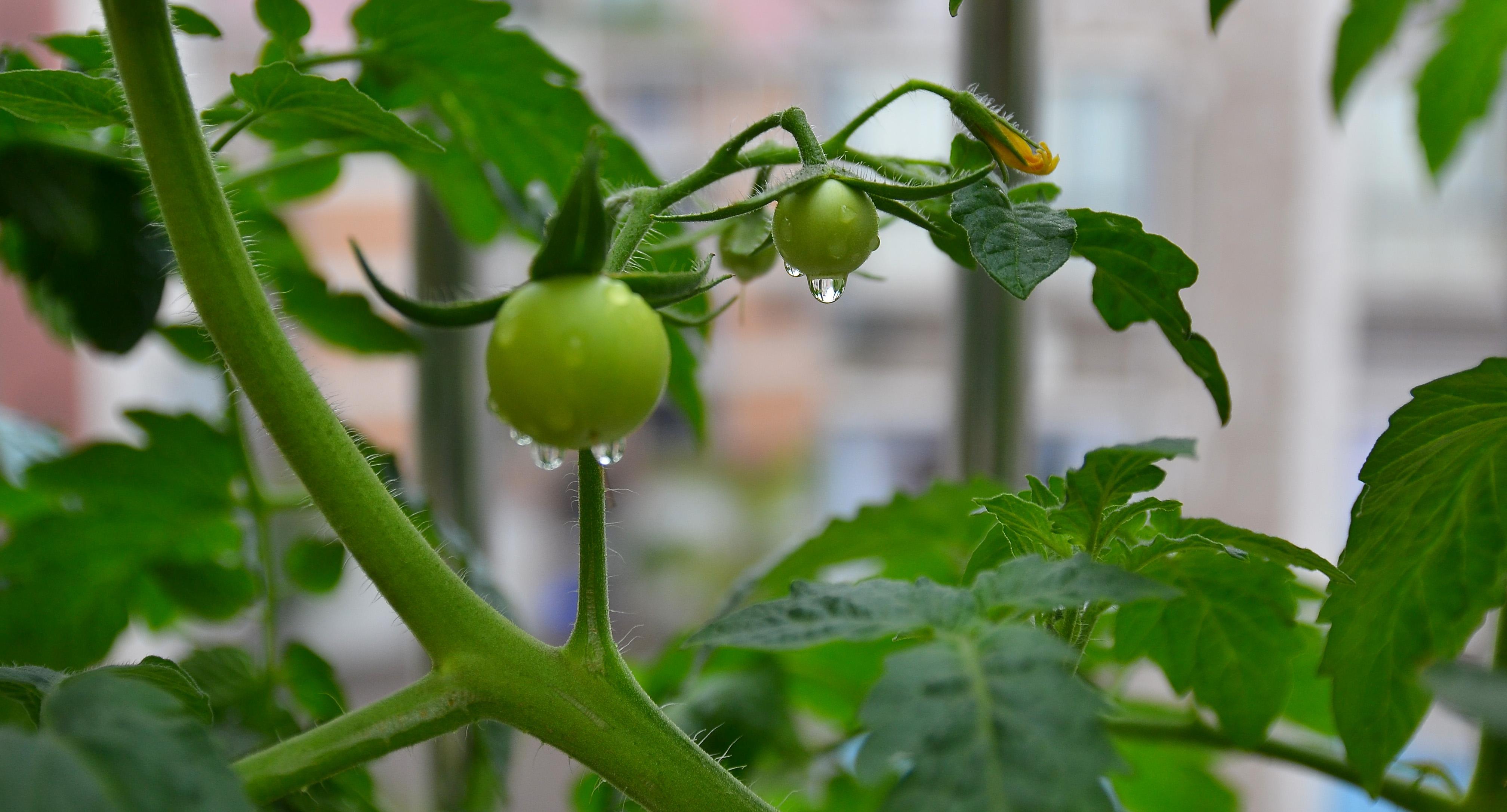 民间故事一百块钱,民间故事独眼龙