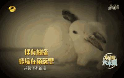 干粉灭火器的干粉如何处理掉,干粉灭火器可灭哪几类火