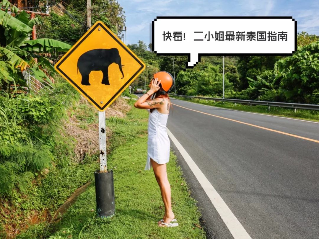 泰国游神器,泰国出行必备app