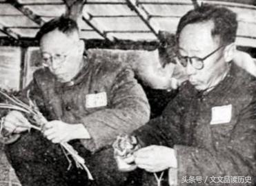 末代皇帝溥仪鲜为人知的两三事,溥仪幼年不为人知的故事