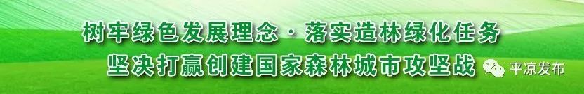 马踏飞燕又称为马超龙雀,马踏飞燕为什么后来改成马超龙雀