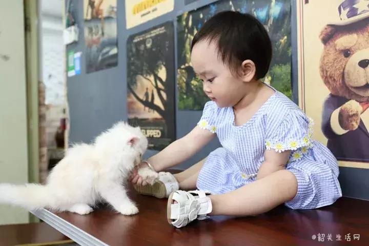 喂！妖妖灵吗？韶关这条巷子内有人聚众吸猫！已经有人沦陷了……