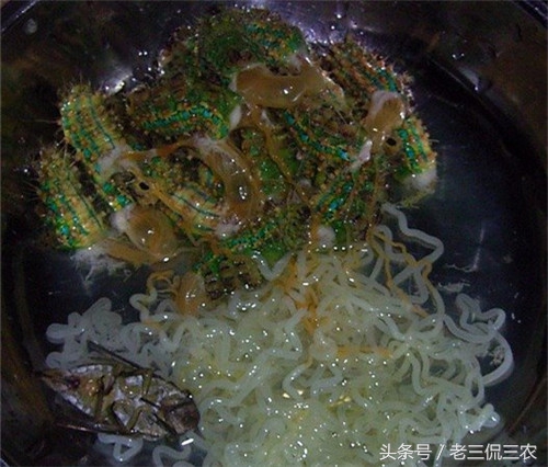 农村这种虫子有100多条腿你见过吗,农村最常见的毛毛虫