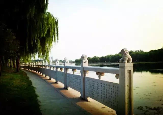 旅游打卡河南最值得去的十个景区,河南必去四大旅游景点