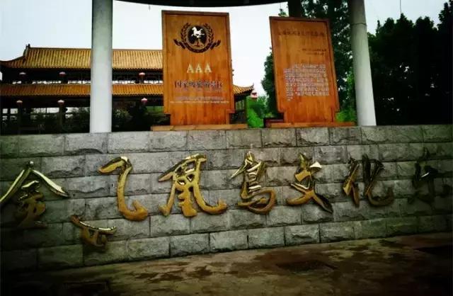 旅游打卡河南最值得去的十个景区,河南必去四大旅游景点