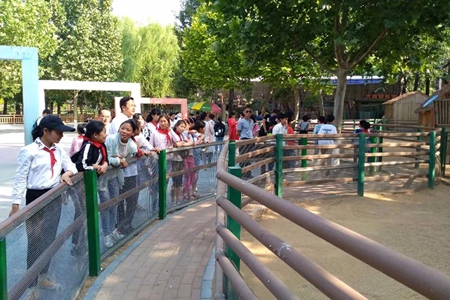 真心点个赞！省外侨办对口帮扶这个举动很感人