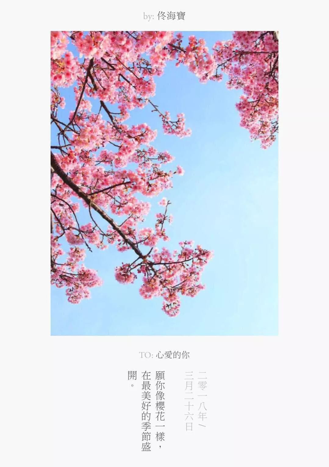 哪些拍照软件可以加文字,给照片加文字的app推荐