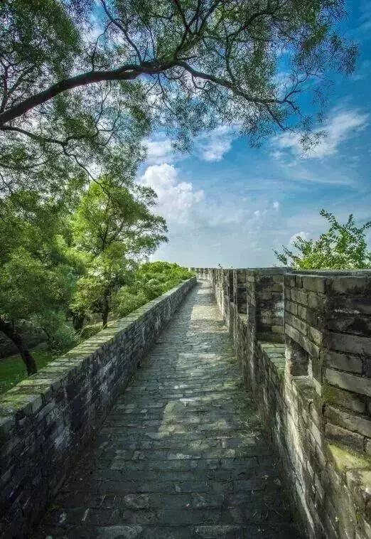 全域旅游｜莲花山保护利用规划出炉！莲花山的定位原来是……