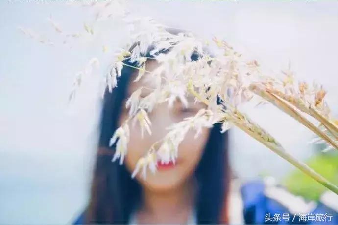 厦门最好的火山岛,厦门最好火山岛