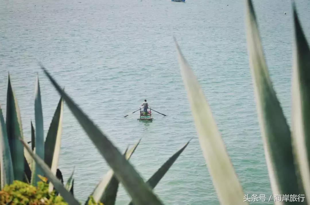 厦门最好的火山岛,厦门海岛火山岛