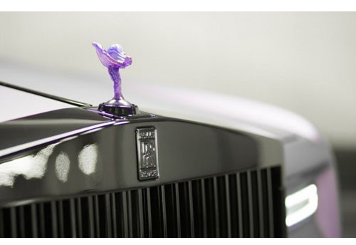 没有最豪，只有更壕！你们都看小龙虾我偏偏关注“龙虾之王”