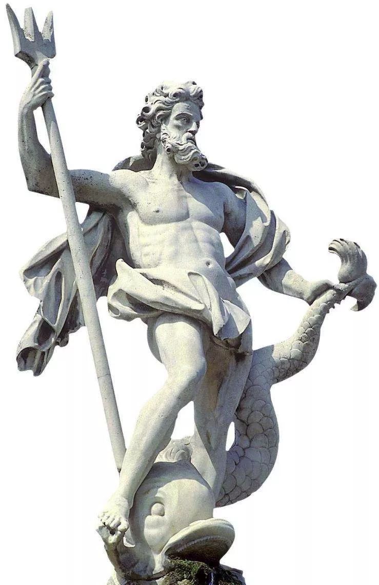 鸟与豚，高智商动物群像