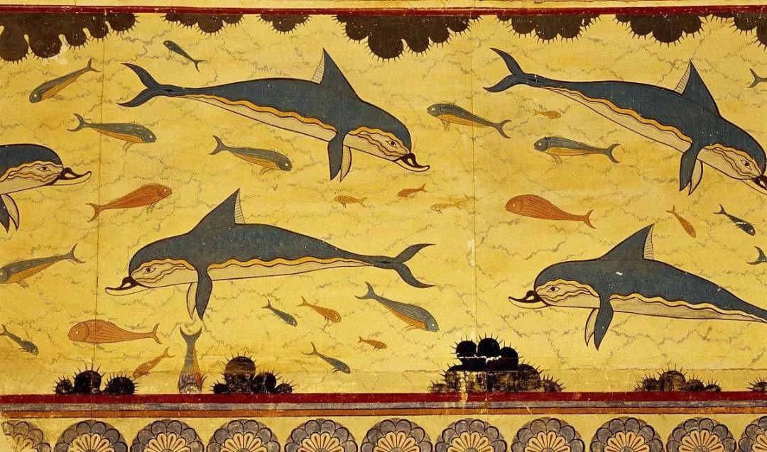 鸟与豚，高智商动物群像