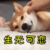 哈尔滨停电最新通知实时在哪看,哈尔滨道里区新发镇停电通知