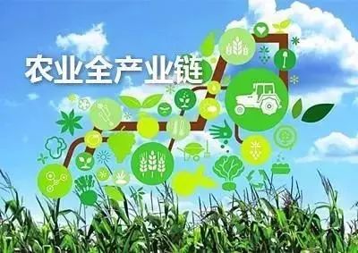 如何申报国家农业政策性补贴,补贴政策2022年农业补贴怎么申领