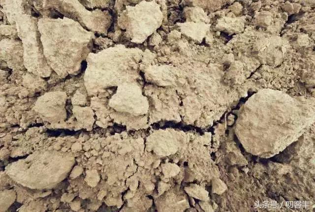 小孩吃了沙石该怎么处理,孩子误食沙子怎么办