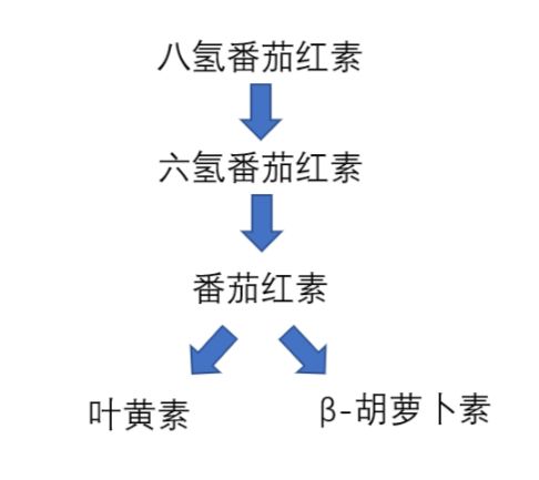 水晶番茄真有用吗,水晶番茄是激素药吗能吃吗