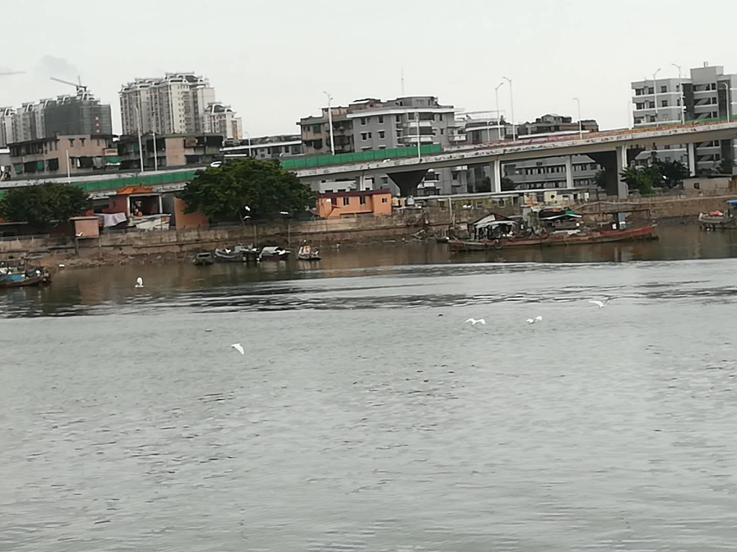 揭阳榕城古城,揭阳榕城搬家