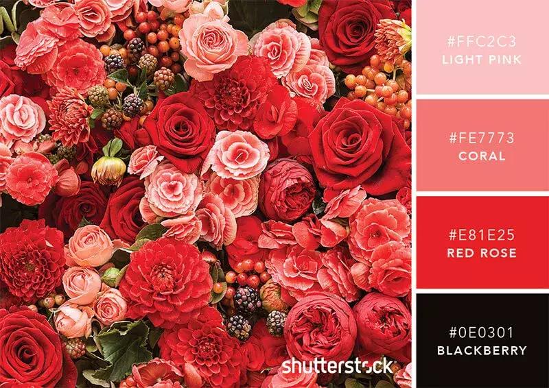 设计师必备100个材料,设计师必备100个素材